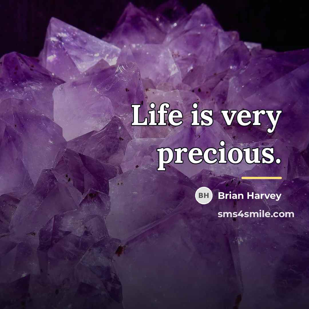 “Life is very precious.…” quote by Brian Harvey