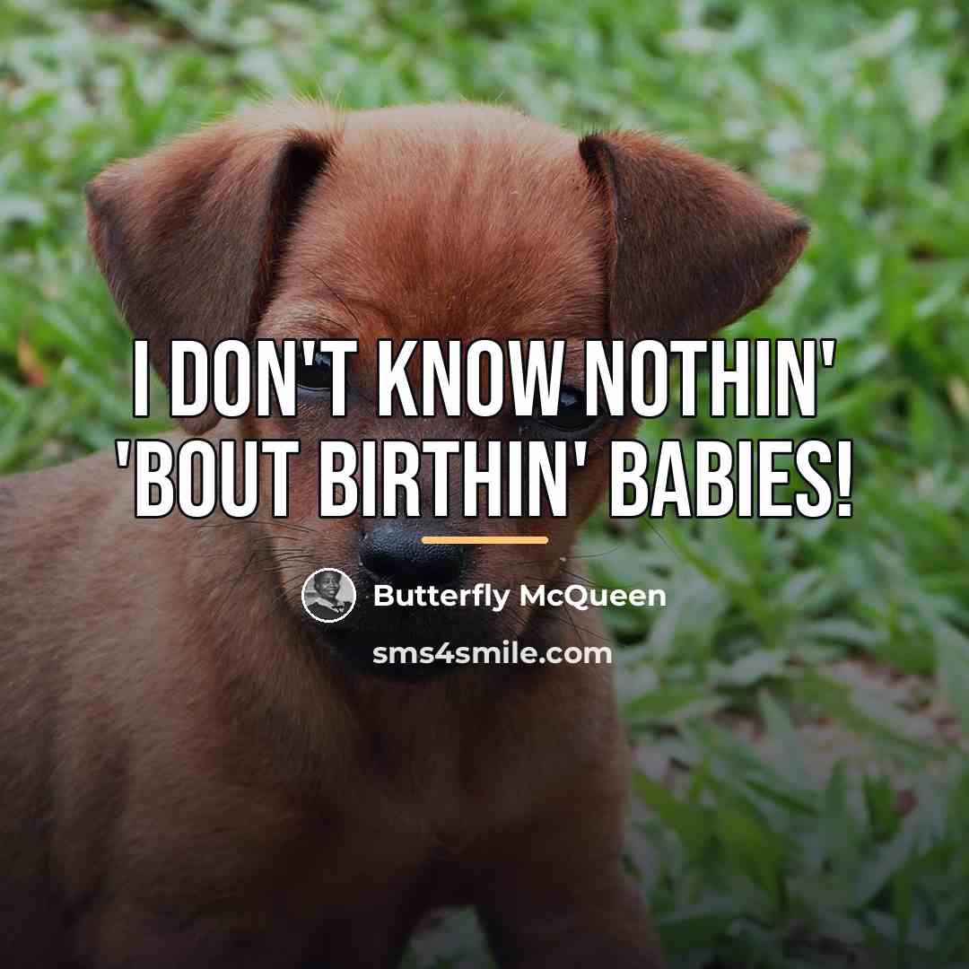 “I don't know nothin' 'bout birthin' babies!…” quote by Butterfly McQueen