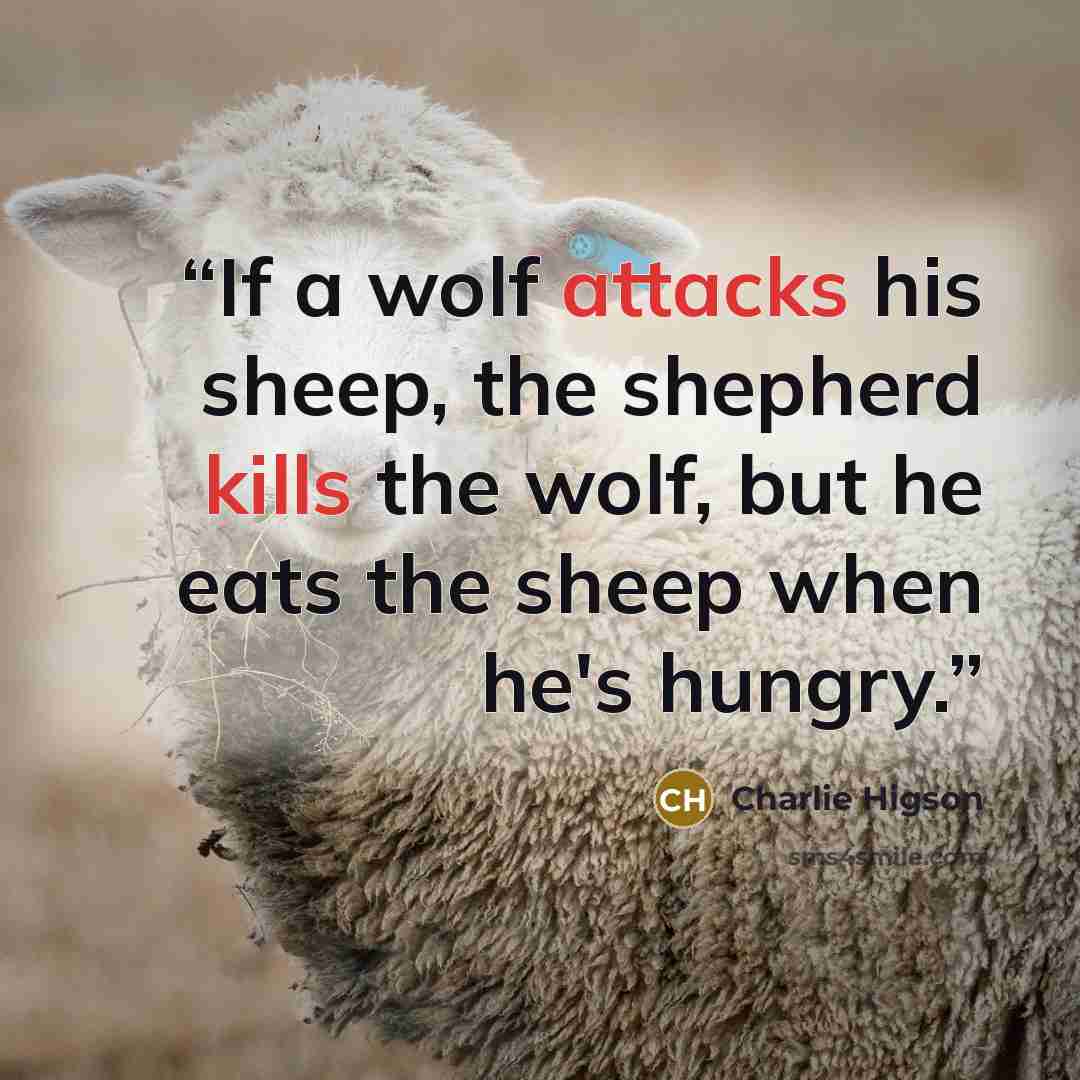 “If a wolf attacks his sheep, the shepherd kills the wolf, but he eats the sheep when he's hungry.” quote by Charlie Higson