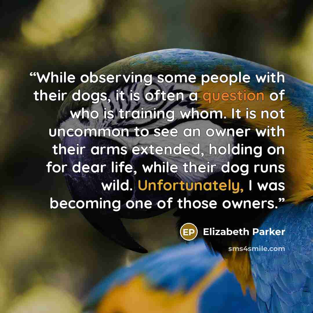 “While observing some people with their dogs, it is often a question of who is training whom. It is not uncommon to see an owner with their arms extended, holding on for dear life, while their dog runs wild. Unfortunately, I was becoming one of those owners.” quote by Elizabeth Parker