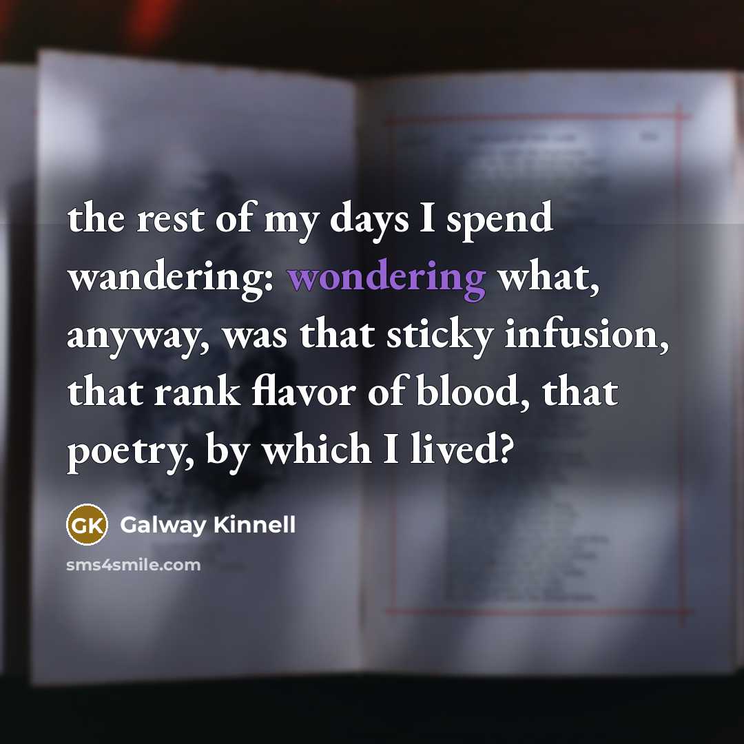 “the rest of my days I spend wandering: wondering what,…” quote by Galway Kinnell