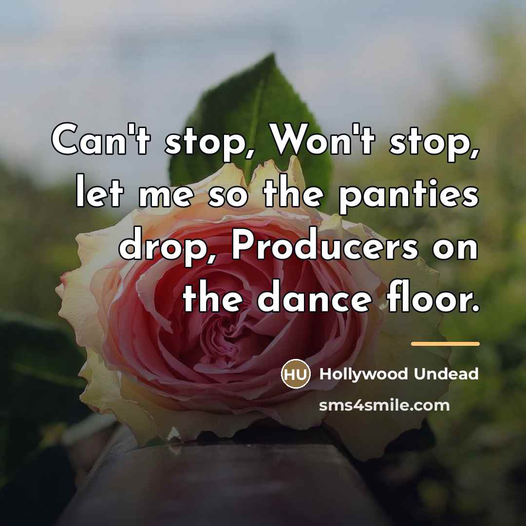 “Can't stop, Won't stop, let me so the panties drop,…” quote by Hollywood Undead