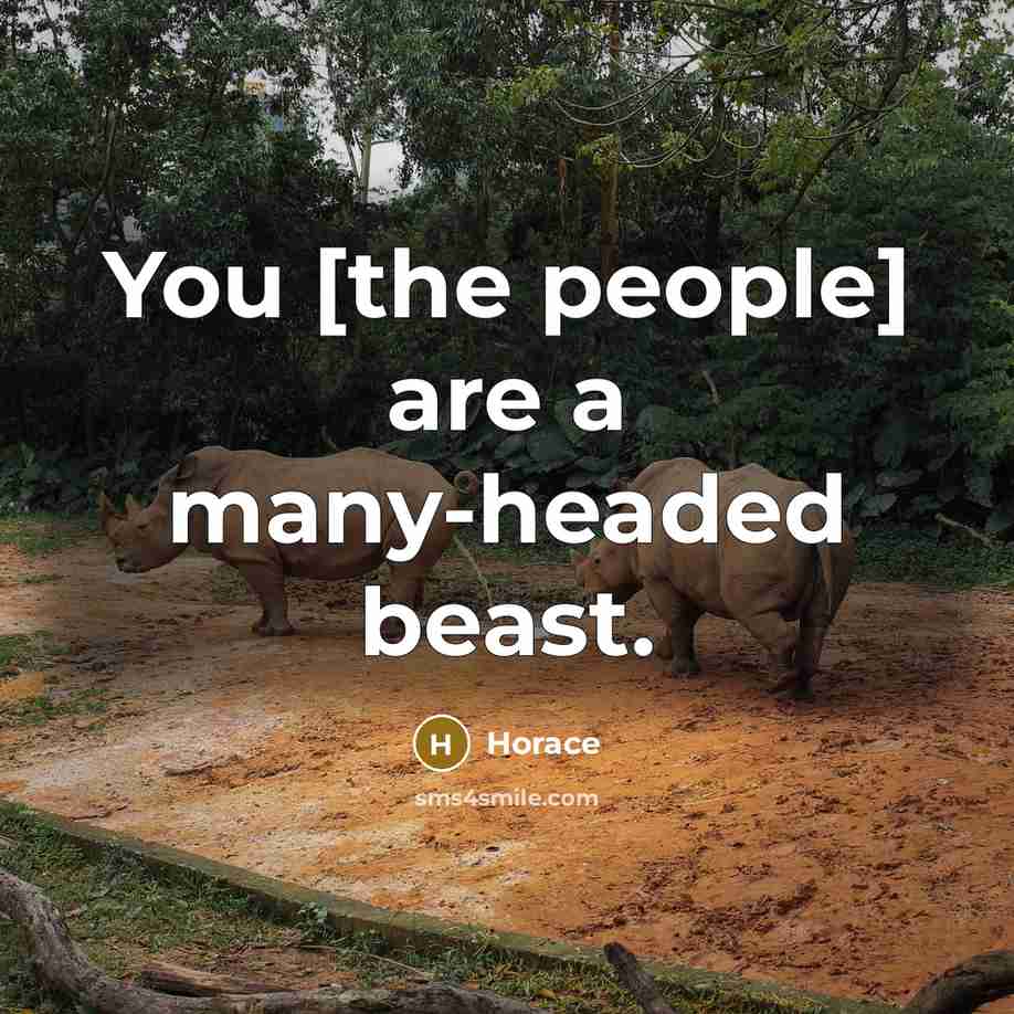 “You [the people] are a many-headed beast.…” quote by Horace