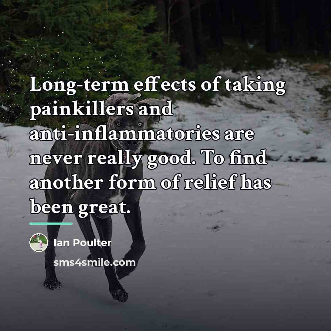 “Long-term effects of taking painkillers and anti-inflammatories are never really…” quote by Ian Poulter
