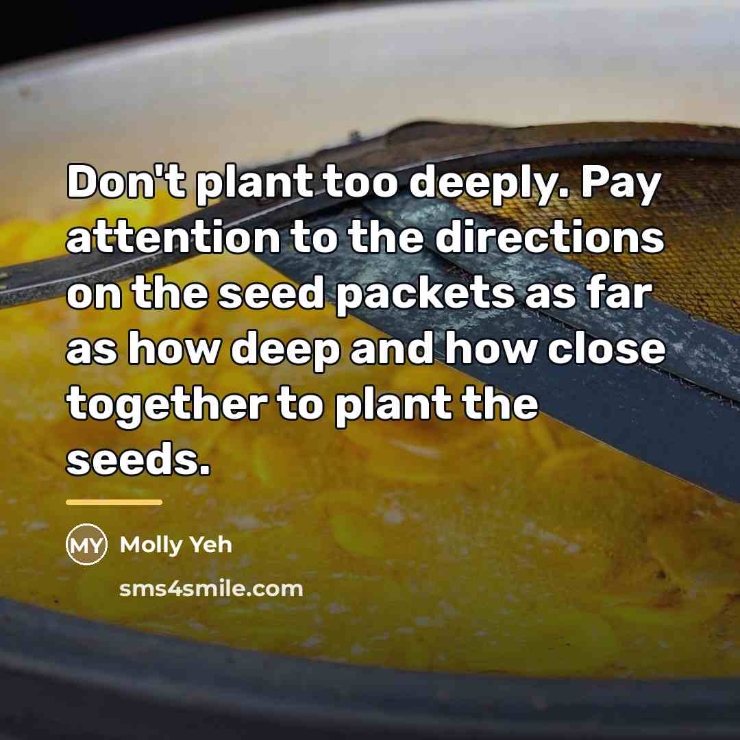 “Don't plant too deeply. Pay attention to the directions on…” quote by Molly Yeh