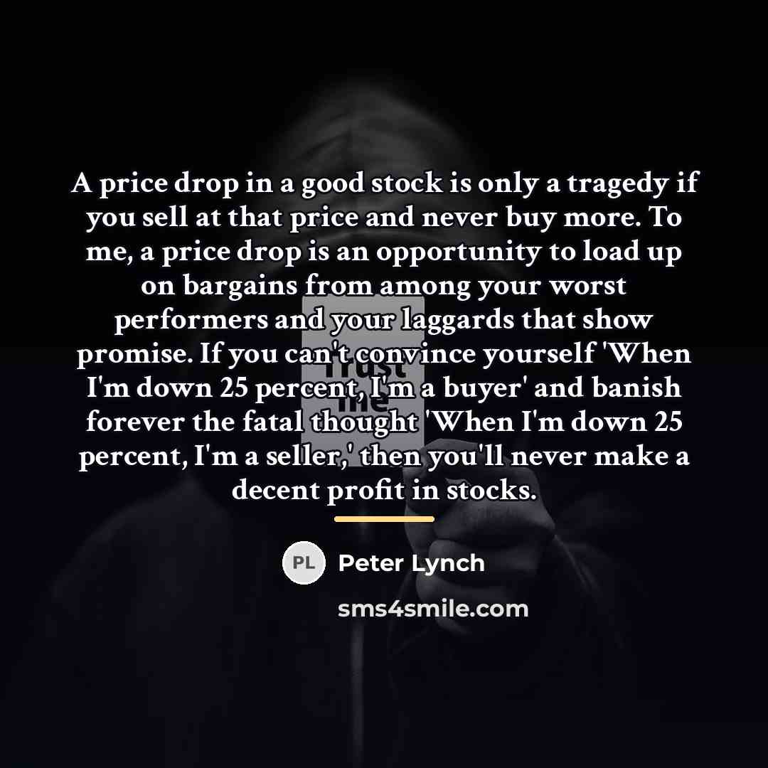 “A price drop in a good stock is only a…” quote by Peter Lynch