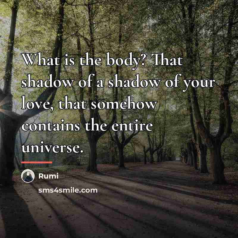 “What is the body? That shadow of a shadow of…” quote by Rumi