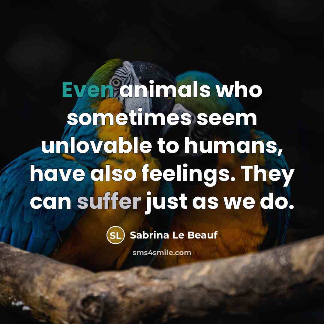“Even animals who sometimes seem unlovable to humans, have also feelings. They can suffer just as we do.” quote by Sabrina Le Beauf