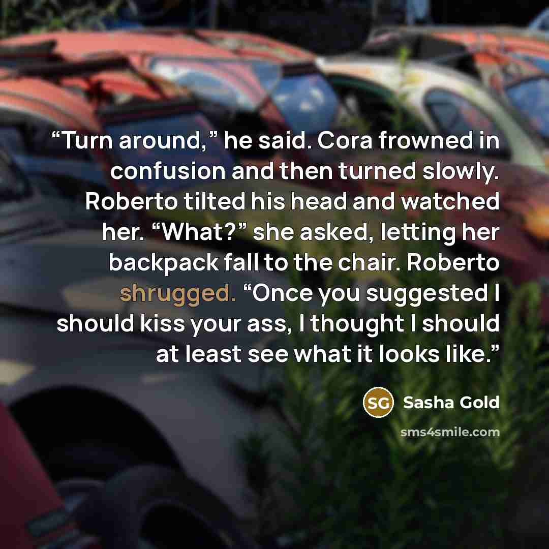 “Turn around,” he said. Cora frowned in confusion and then turned slowly. Roberto tilted his head and watched her. “What?” she asked, letting her backpack fall to the chair. Roberto shrugged. “Once you suggested I should kiss your ass, I thought I should at least see what it looks like.” quote by Sasha Gold