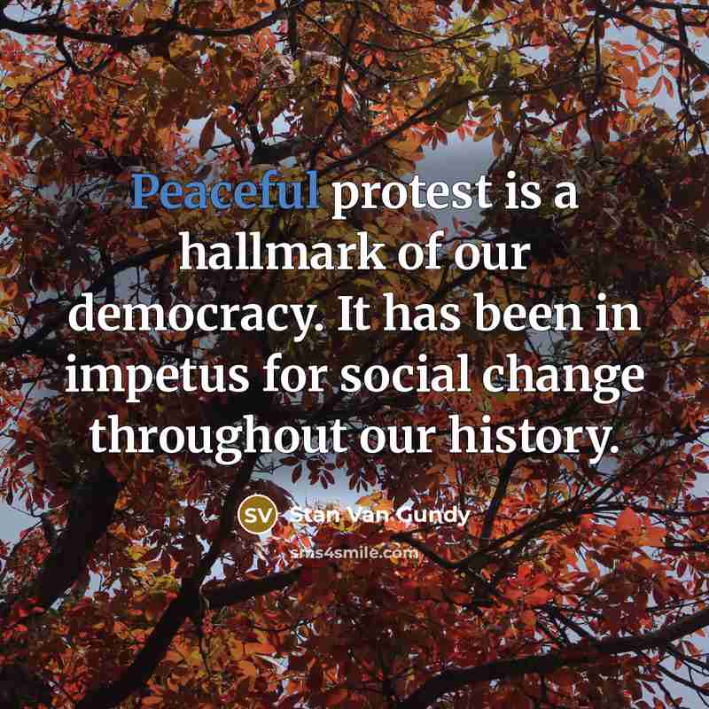 “Peaceful protest is a hallmark of our democracy. It has…” quote by Stan Van Gundy