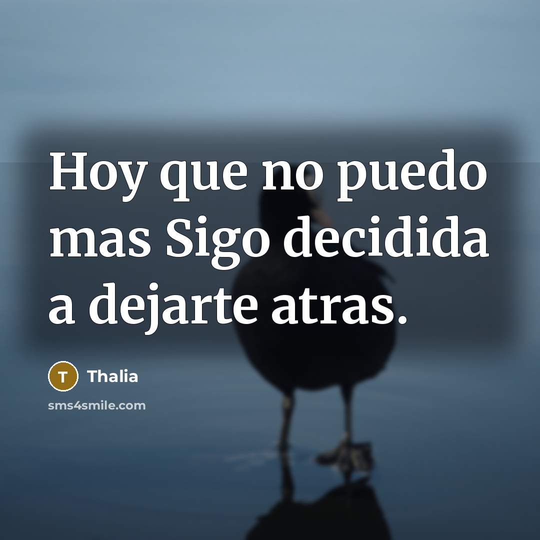 “Hoy que no puedo mas Sigo decidida a dejarte atras.” quote by Thalia