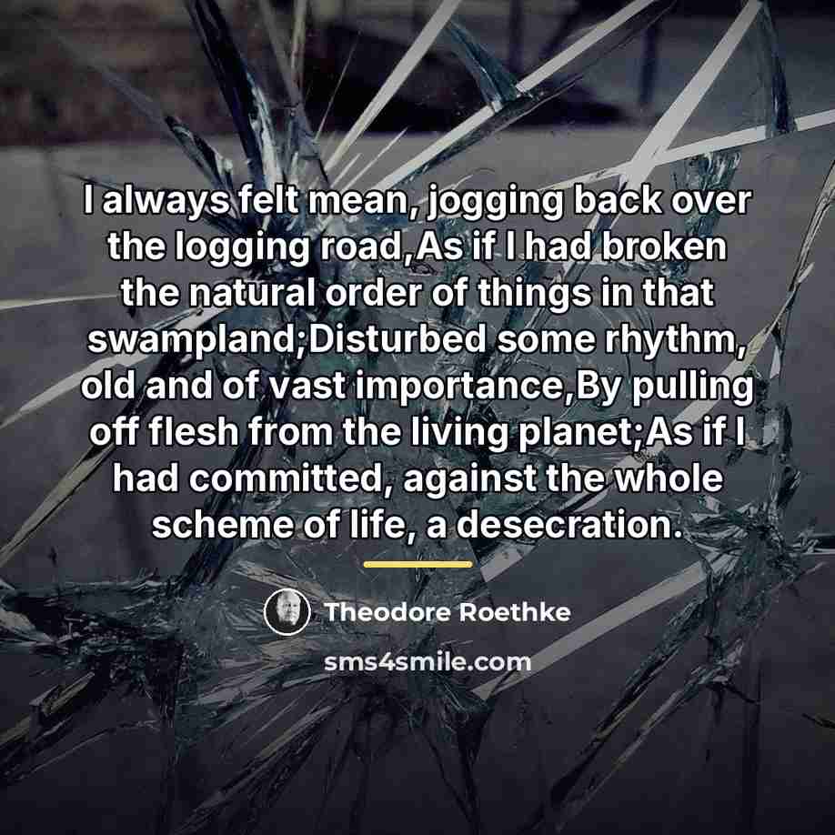 “I always felt mean, jogging back over the logging road,As…” quote by Theodore Roethke