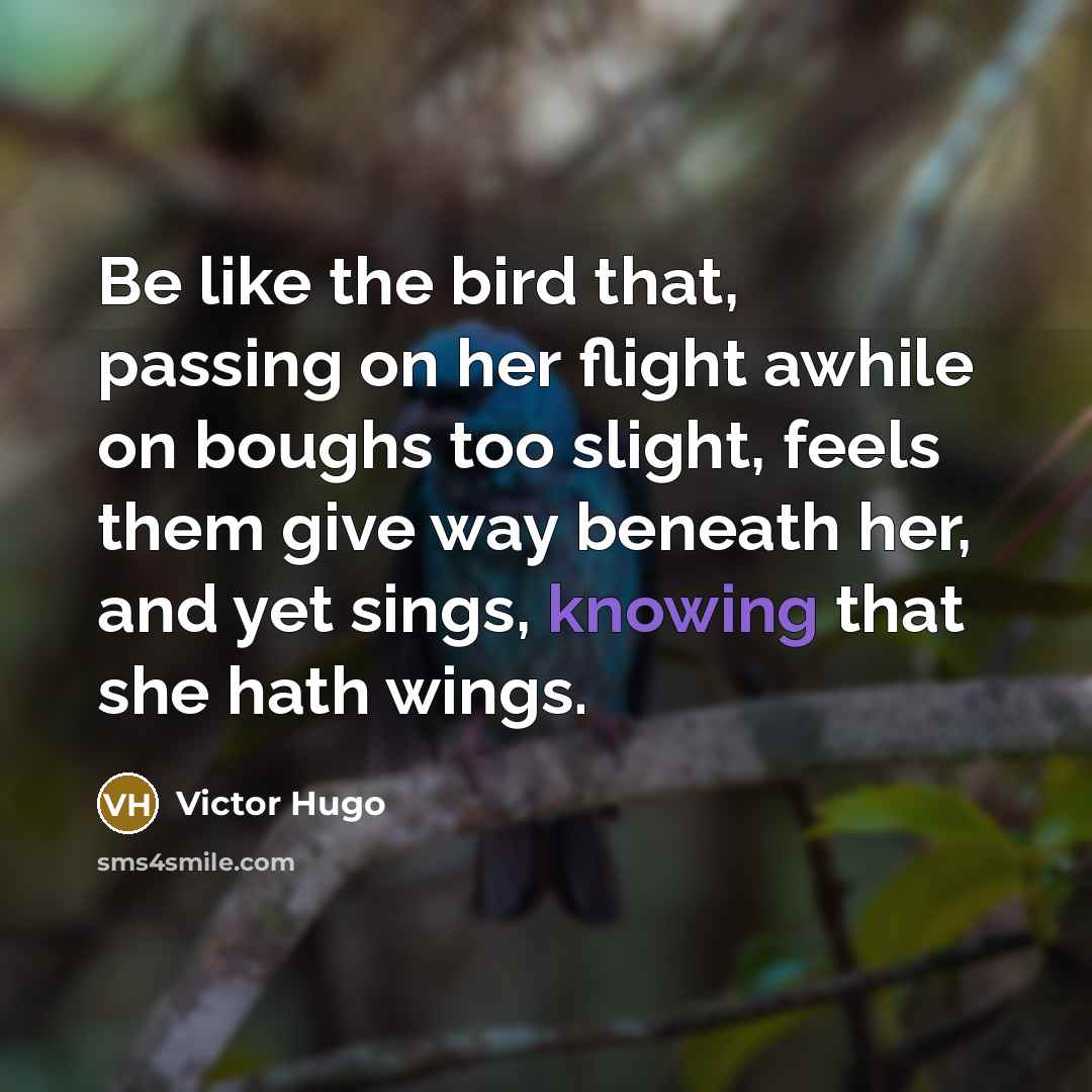 “Be like the bird that, passing on her flight awhile…” quote by Victor Hugo