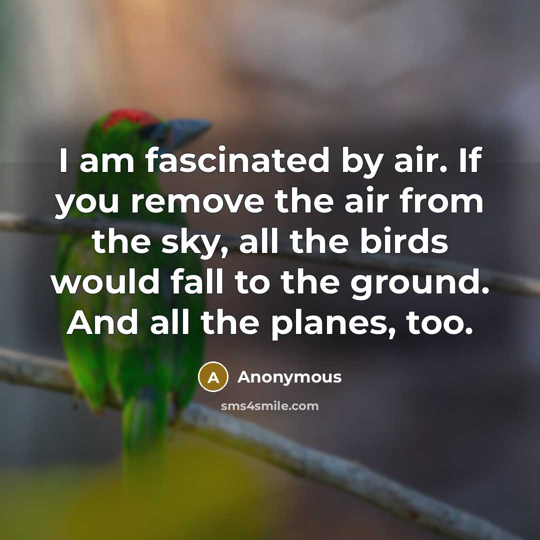 “I am fascinated by air. If you remove the air…” quote by Anonymous