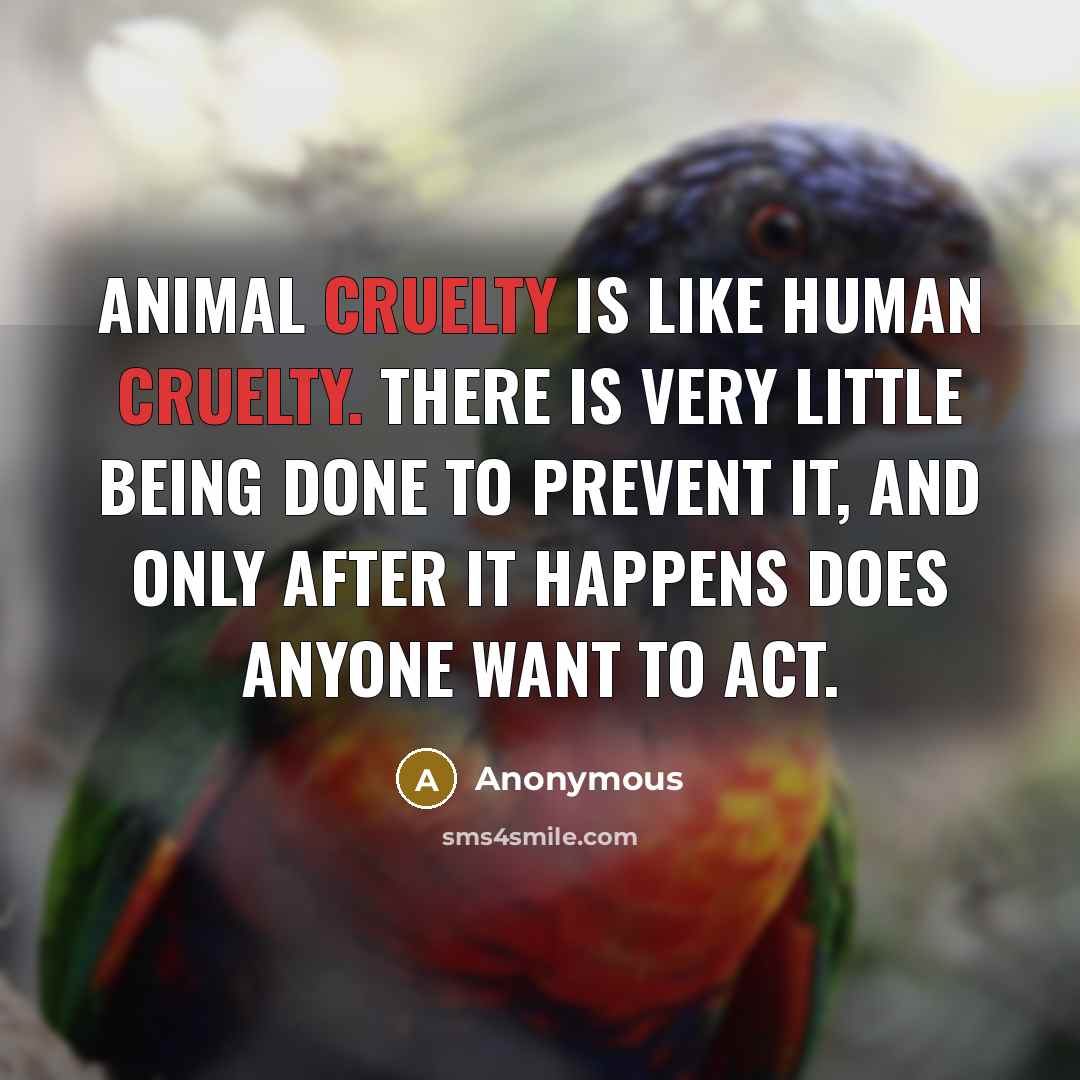 “Animal cruelty is like human cruelty. There is very little being done to prevent it, and only after it happens does anyone want to act.” quote by Anonymous