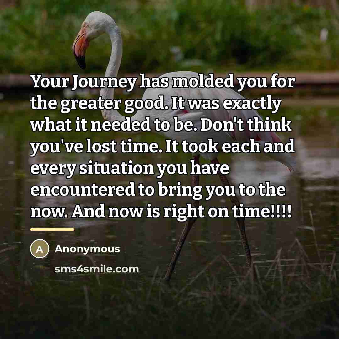 “Your Journey has molded you for the greater good. It…” quote by Anonymous