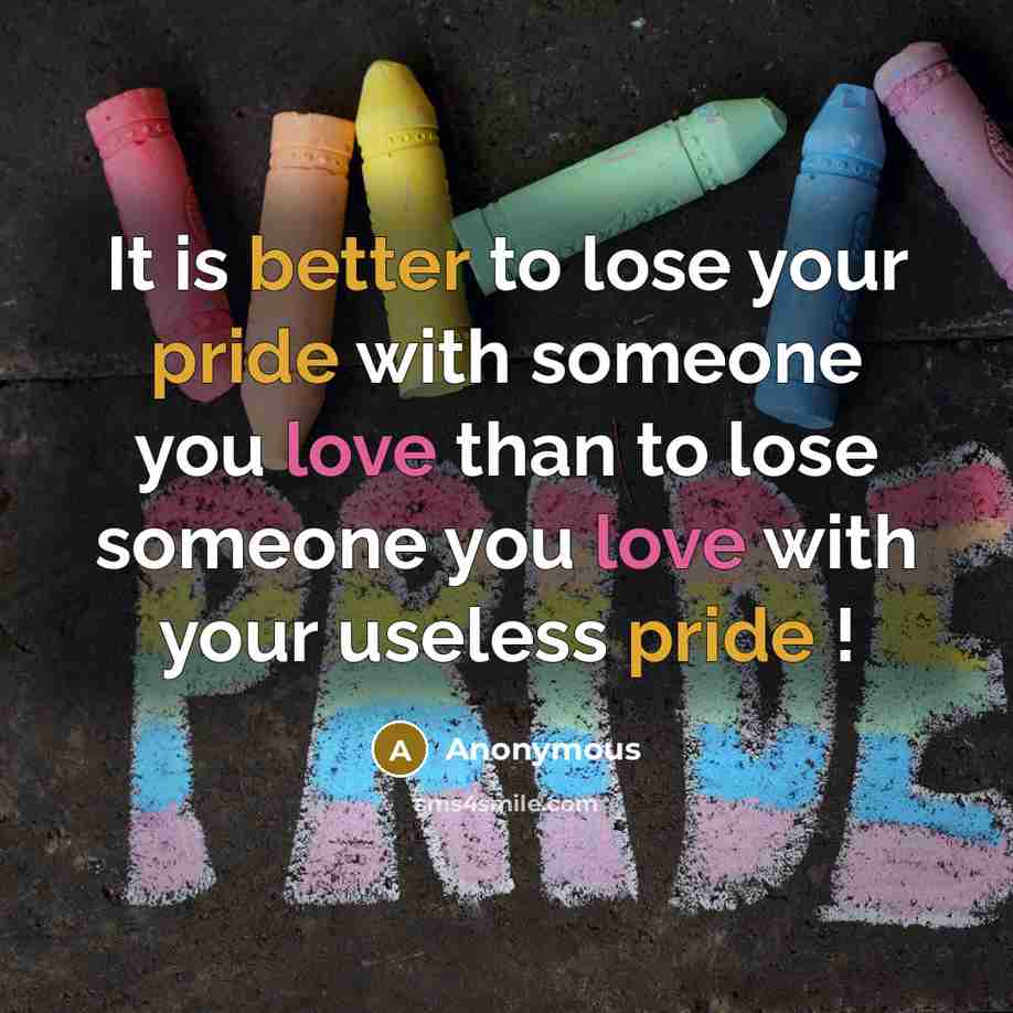 “It is better to lose your pride with someone you love than to lose someone you love with your useless pride !” quote by Anonymous