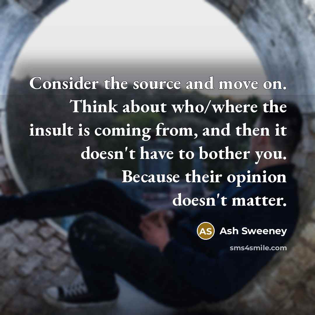 “Consider the source and move on. Think about who/where the insult is coming from, and then it doesn't have to bother you. Because their opinion doesn't matter.” quote by Ash Sweeney