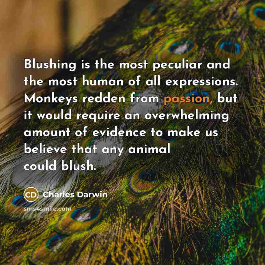 “Blushing is the most peculiar and the most human of…” quote by Charles Darwin