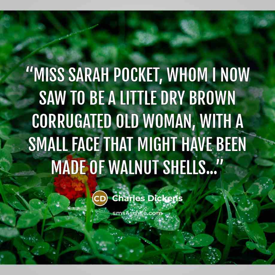 “Miss Sarah Pocket, whom I now saw to be a little dry brown corrugated old woman, with a small face that might have been made of walnut shells...” quote by Charles Dickens