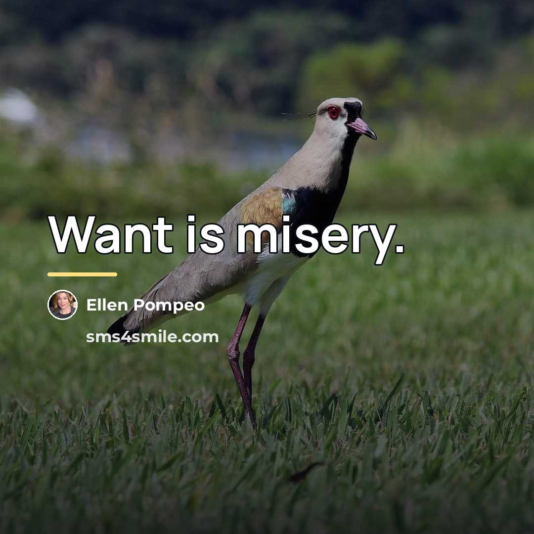 “Want is misery.…” quote by Ellen Pompeo