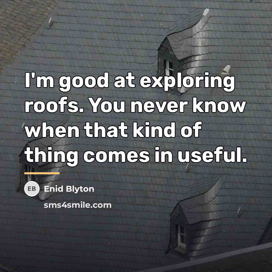“I'm good at exploring roofs. You never know when that…” quote by Enid Blyton