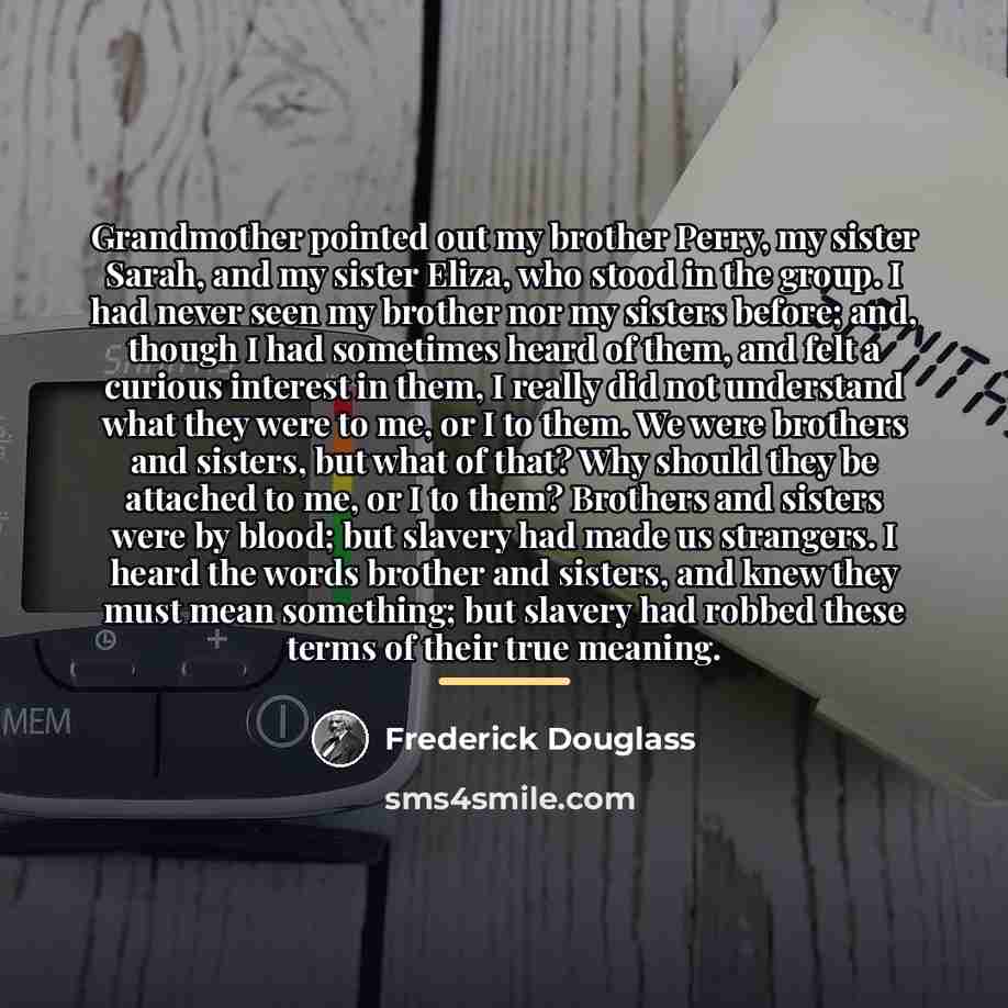 “Grandmother pointed out my brother Perry, my sister Sarah, and…” quote by Frederick Douglass