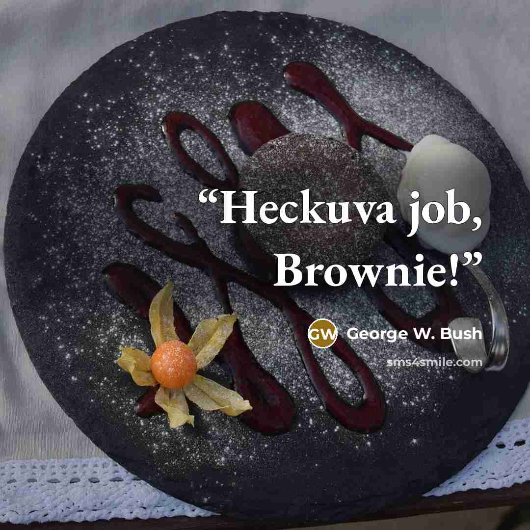 “Heckuva job, Brownie!” quote by George W. Bush