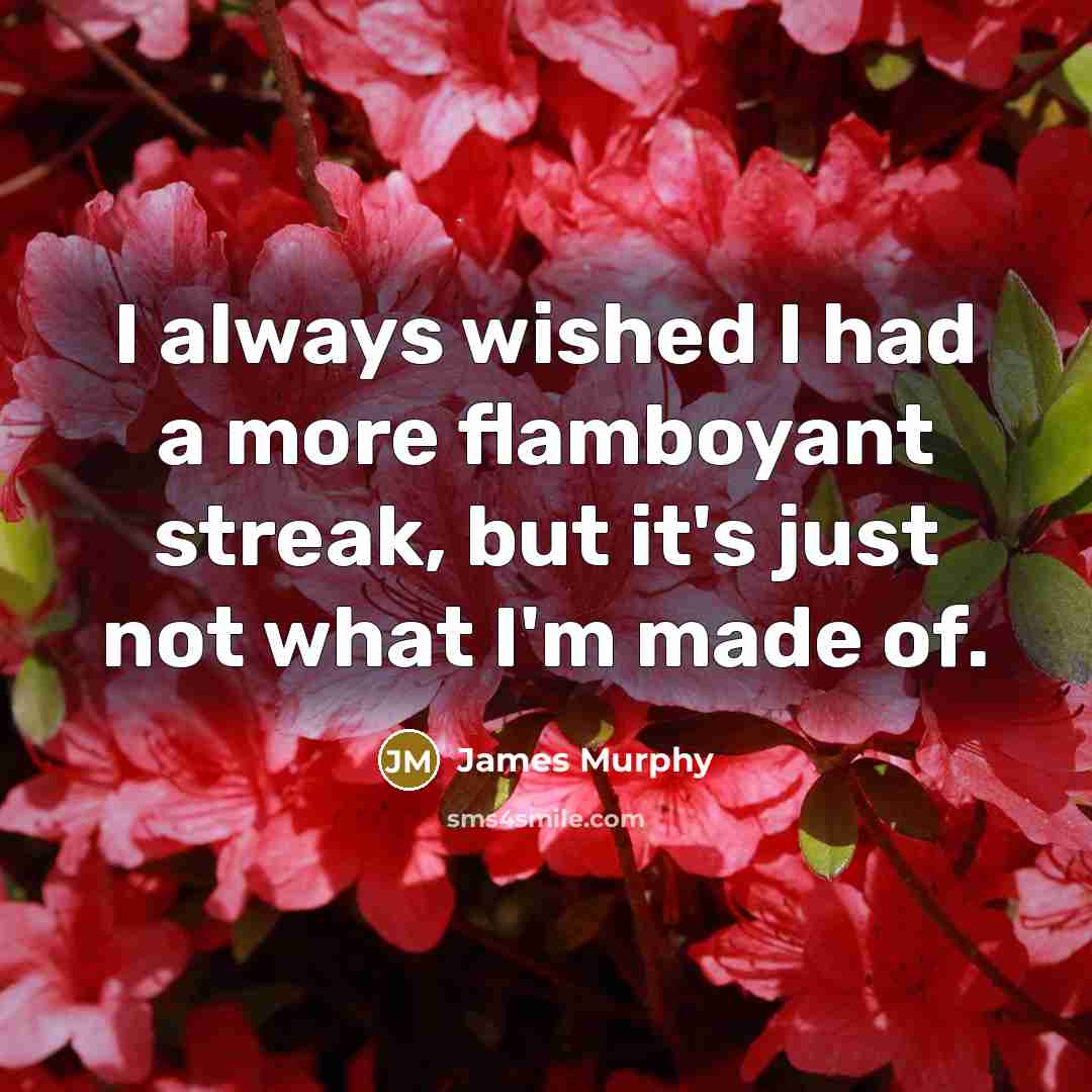 “I always wished I had a more flamboyant streak, but…” quote by James Murphy