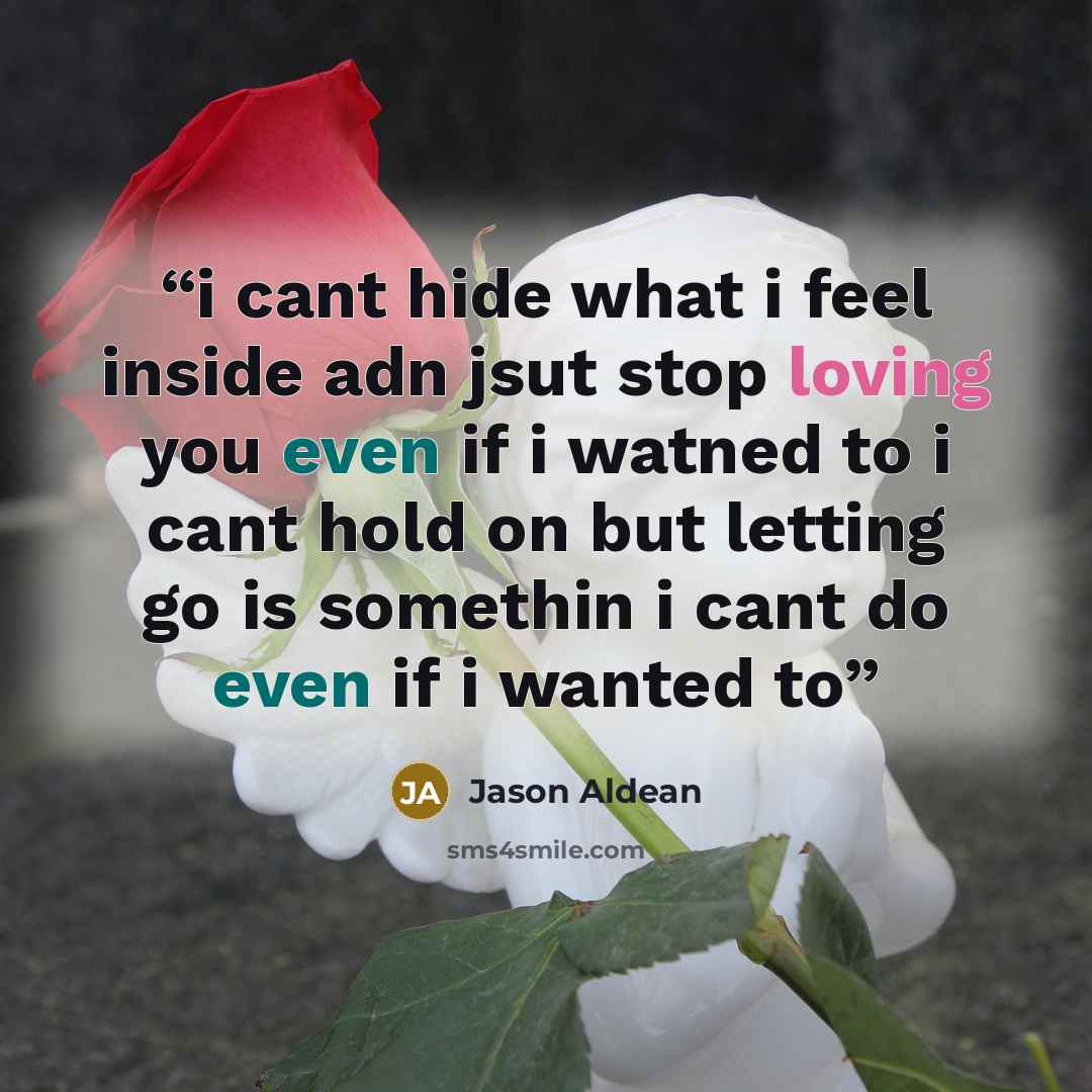 “i cant hide what i feel inside adn jsut stop loving you even if i watned to i cant hold on but letting go is somethin i cant do even if i wanted to” quote by Jason Aldean
