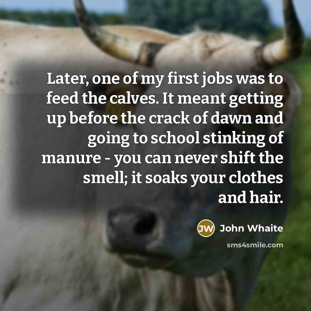 “Later, one of my first jobs was to feed the calves. It meant getting up before the crack of dawn and going to school stinking of manure - you can never shift the smell; it soaks your clothes and hair.” quote by John Whaite