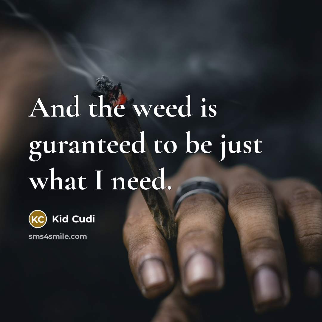 “And the weed is guranteed to be just what I…” quote by Kid Cudi