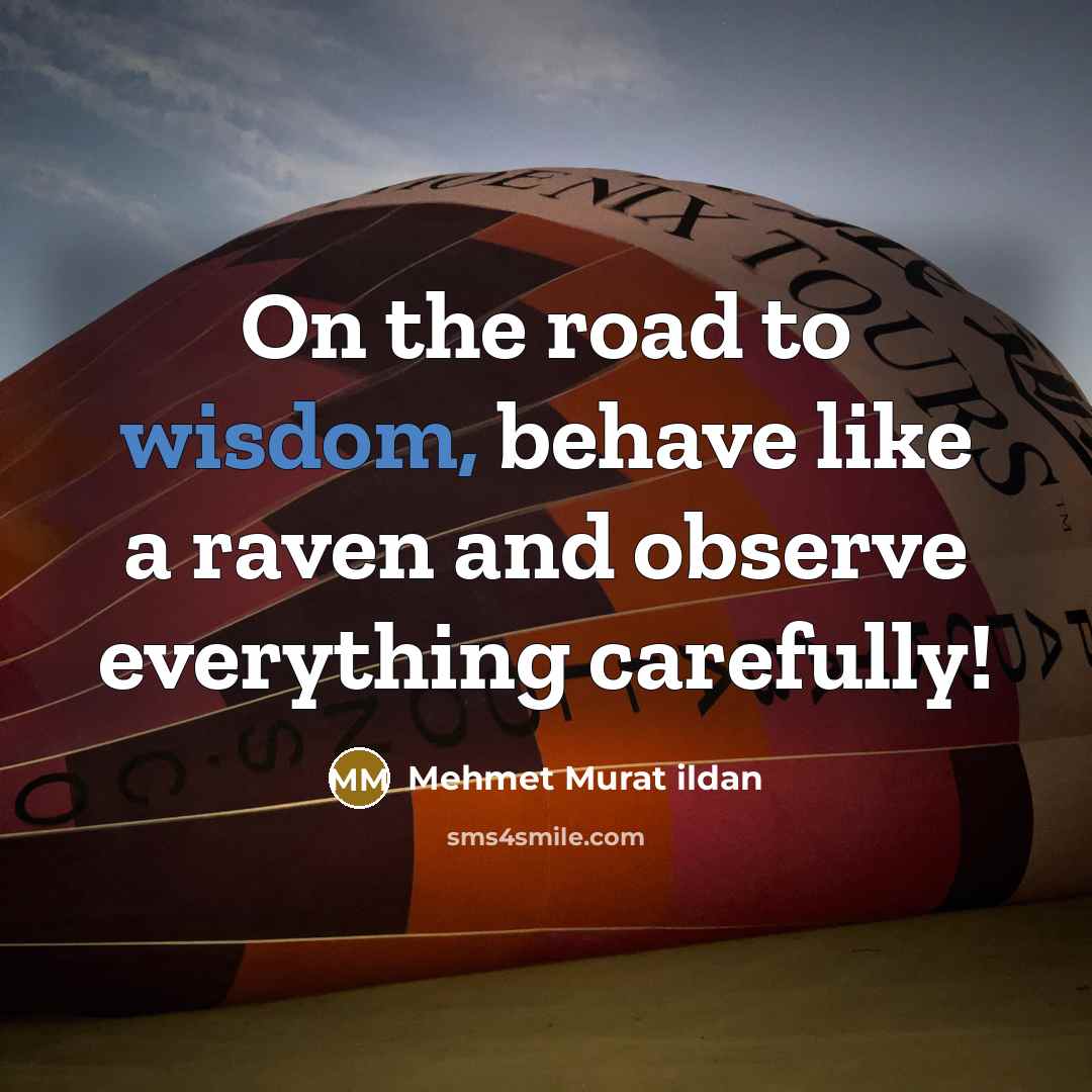 “On the road to wisdom, behave like a raven and…” quote by Mehmet Murat Ildan