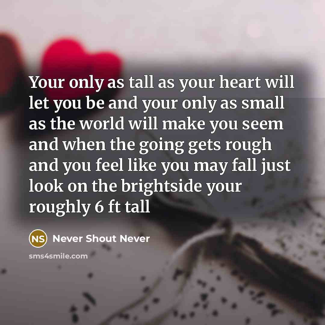 “Your only as tall as your heart will let you be and your only as small as the world will make you seem and when the going gets rough and you feel like you may fall just look on the brightside your roughly 6 ft tall” quote by Never Shout Never