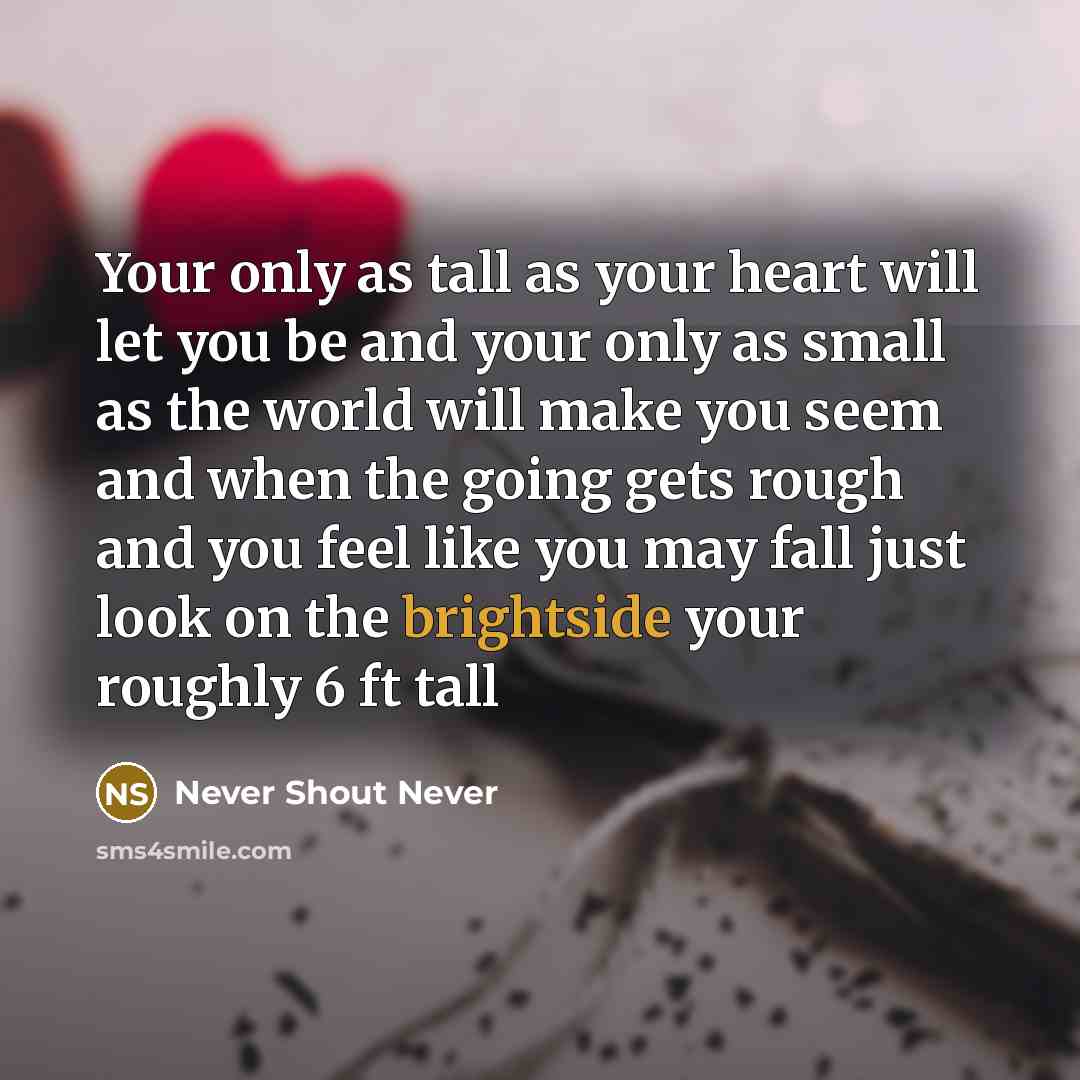 “Your only as tall as your heart will let you be and your only as small as the world will make you seem and when the going gets rough and you feel like you may fall just look on the brightside your roughly 6 ft tall” quote by Never Shout Never