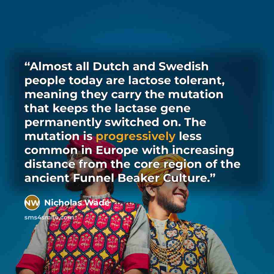 “Almost all Dutch and Swedish people today are lactose tolerant, meaning they carry the mutation that keeps the lactase gene permanently switched on. The mutation is progressively less common in Europe with increasing distance from the core region of the ancient Funnel Beaker Culture.” quote by Nicholas Wade