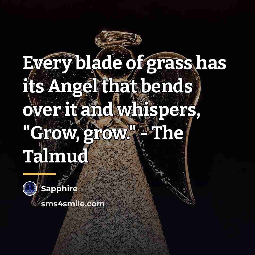 “Every blade of grass has its Angel that bends over…” quote by Sapphire