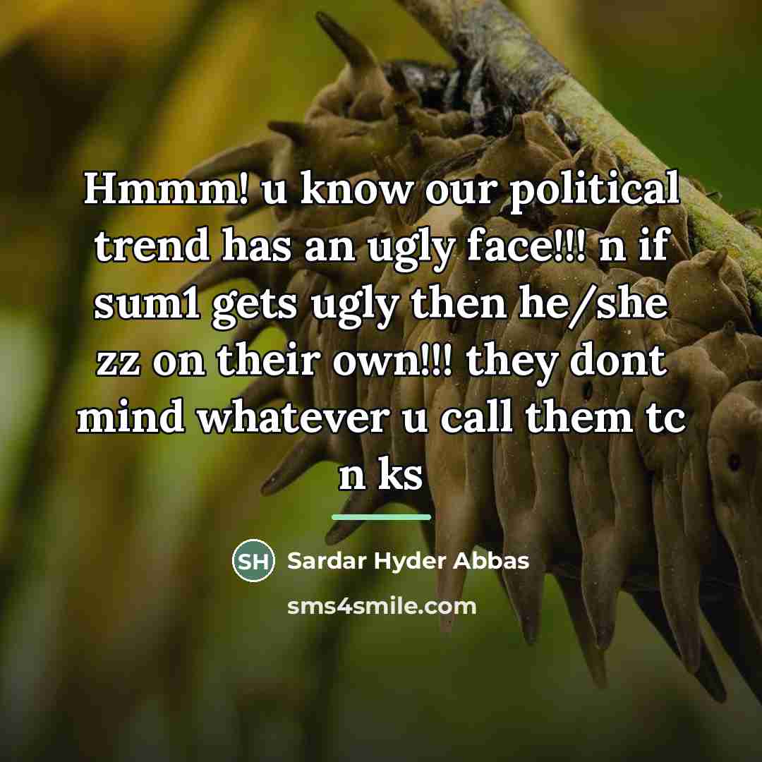 “Hmmm! u know our political trend has an ugly face!!!…” quote by Sardar Hyder Abbas