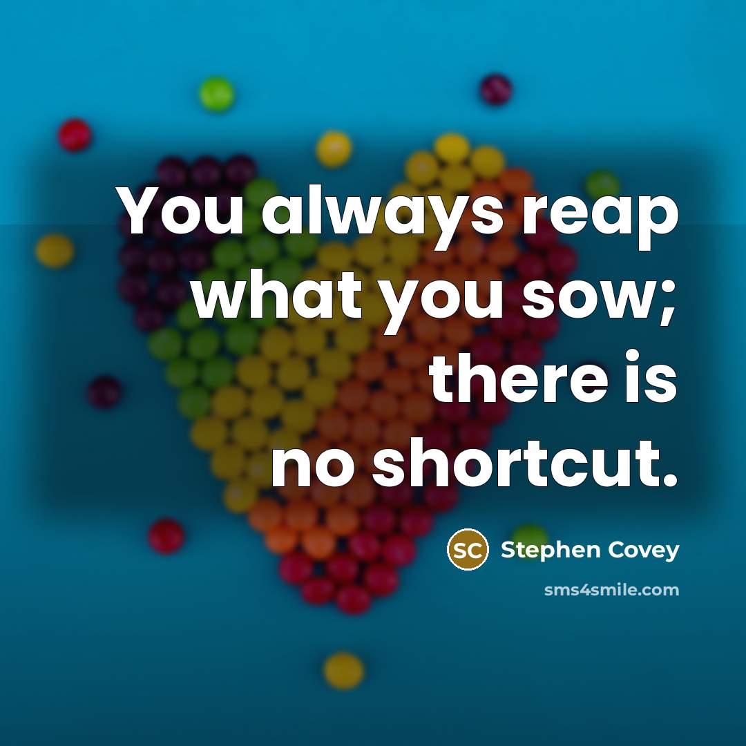 “You always reap what you sow; there is no shortcut.…” quote by Stephen Covey