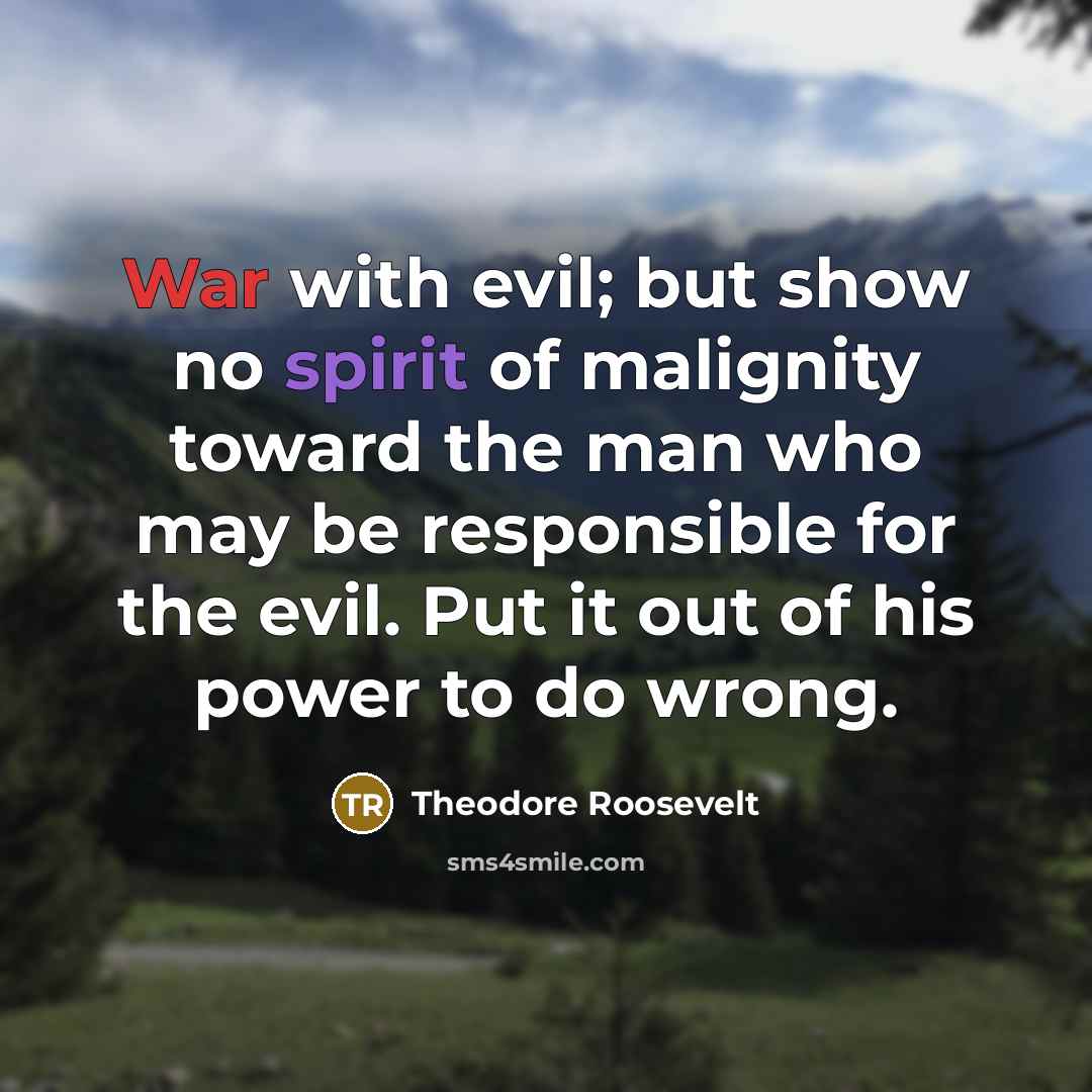 “War with evil; but show no spirit of malignity toward…” quote by Theodore Roosevelt