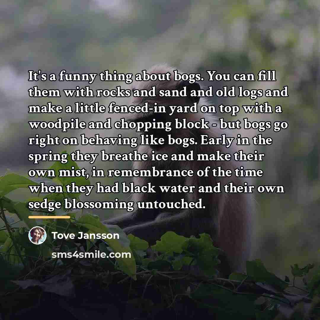 “It's a funny thing about bogs. You can fill them…” quote by Tove Jansson