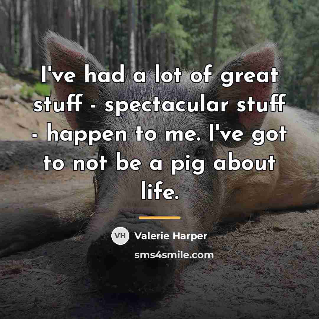 “I've had a lot of great stuff - spectacular stuff…” quote by Valerie Harper