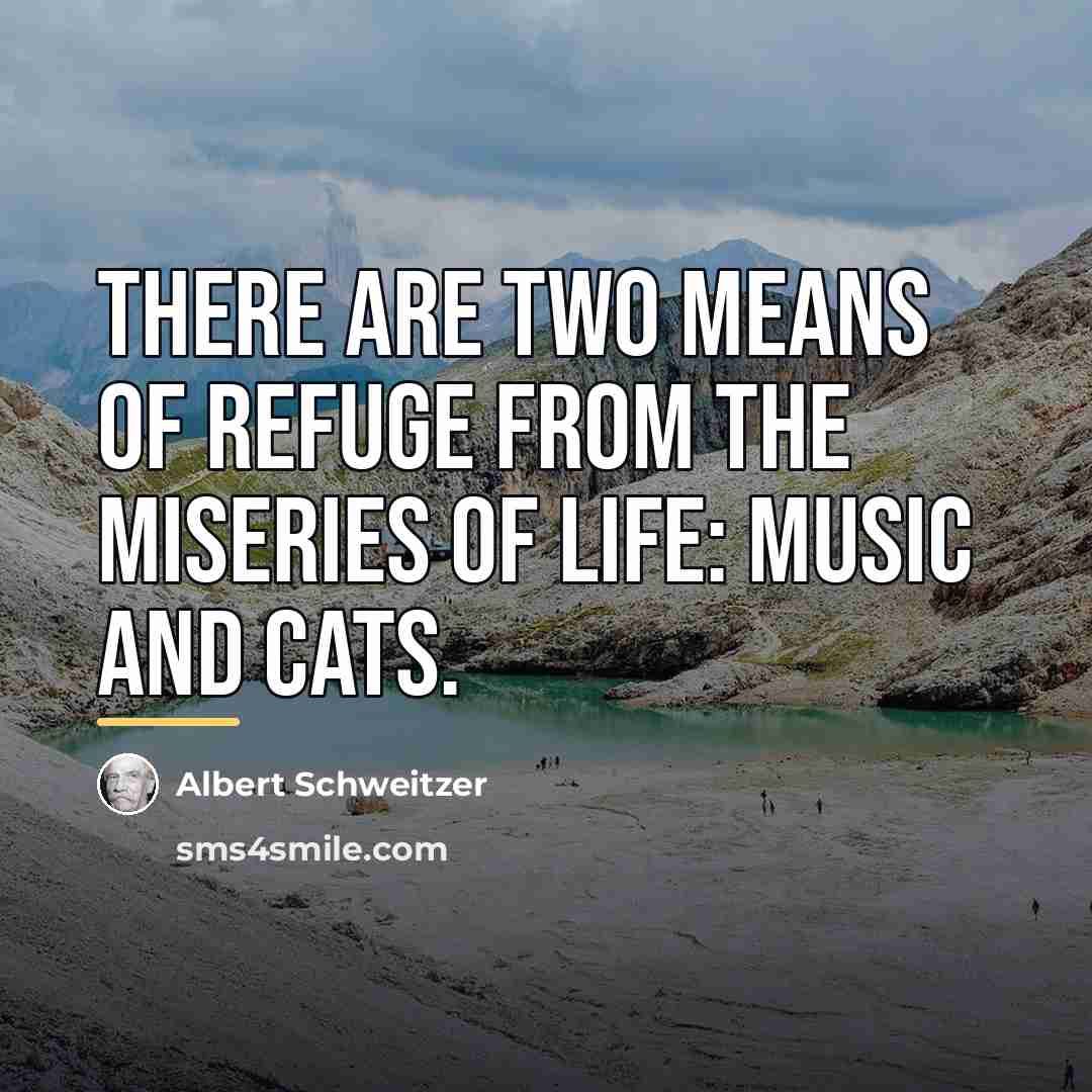 “There are two means of refuge from the miseries of…” quote by Albert Schweitzer