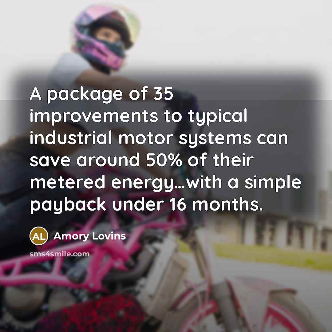 “A package of 35 improvements to typical industrial motor systems…” quote by Amory Lovins