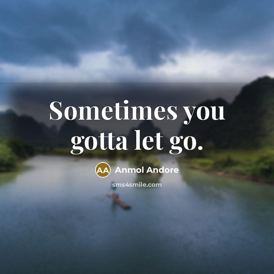 “Sometimes you gotta let go.…” quote by Anmol Andore
