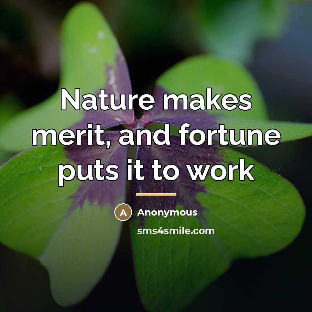 “Nature makes merit, and fortune puts it to work…” quote by Anonymous