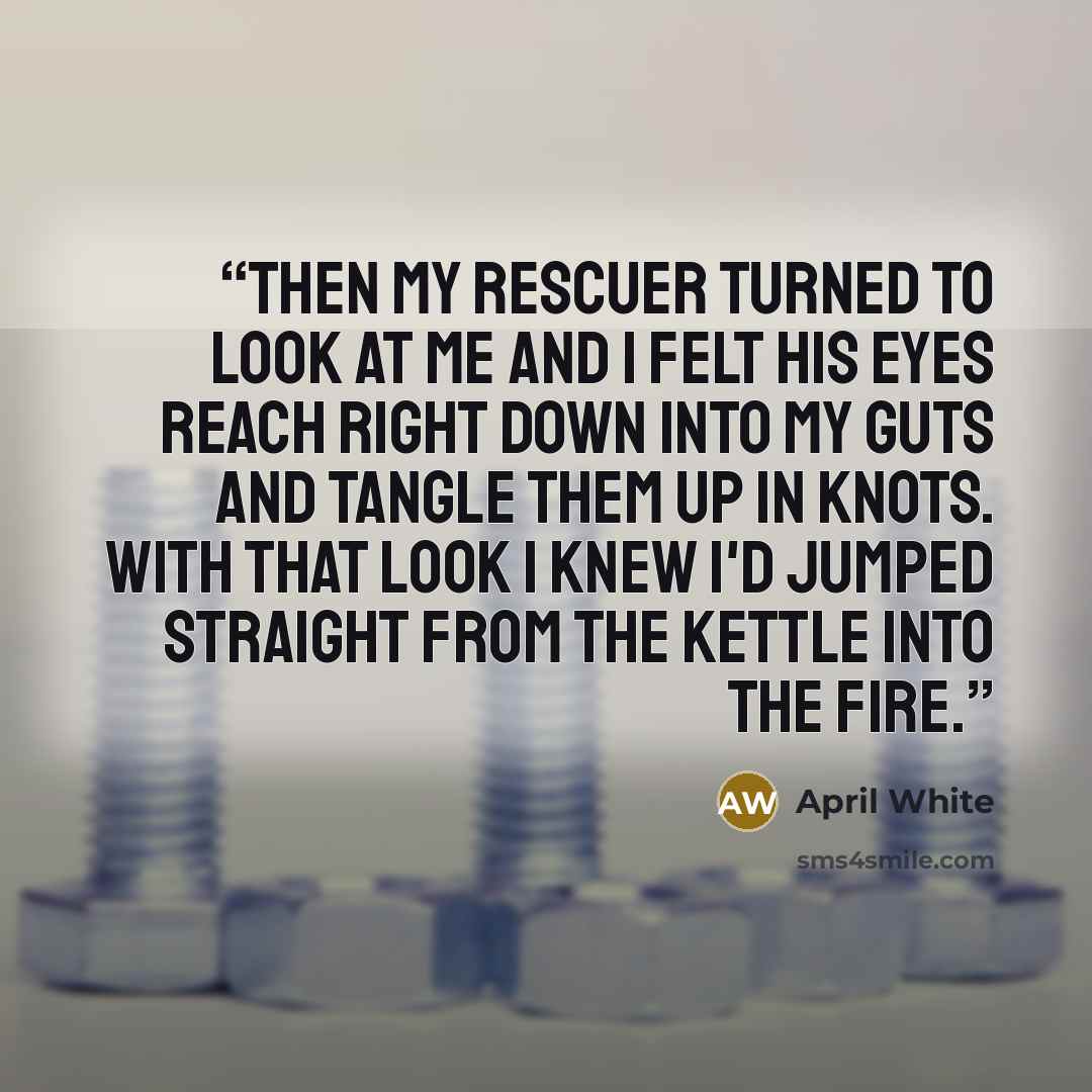 “Then my rescuer turned to look at me and I felt his eyes reach right down into my guts and tangle them up in knots. With that look I knew I'd jumped straight from the kettle into the fire.” quote by April White