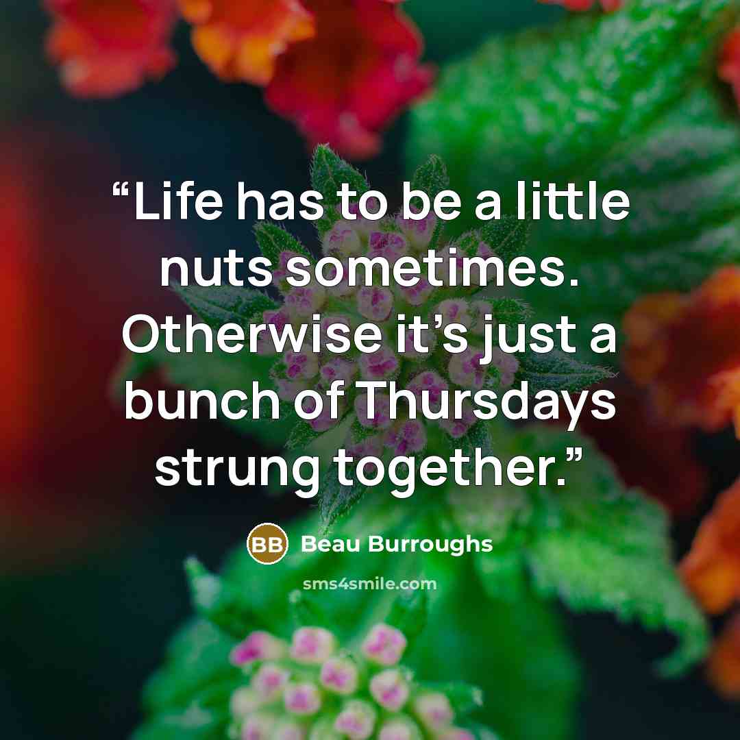 “Life has to be a little nuts sometimes. Otherwise it's just a bunch of Thursdays strung together.” quote by Beau Burroughs