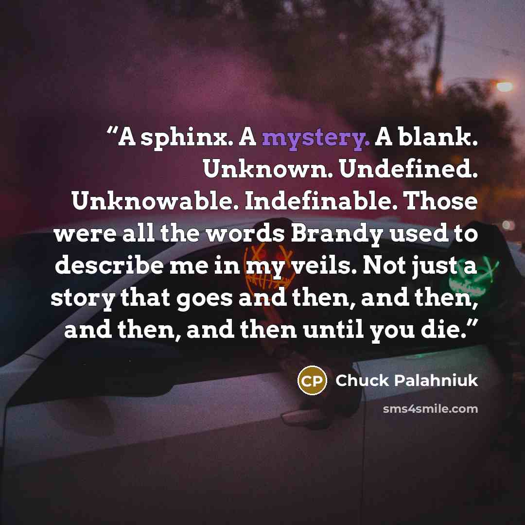 “A sphinx. A mystery. A blank. Unknown. Undefined. Unknowable. Indefinable. Those were all the words Brandy used to describe me in my veils. Not just a story that goes and then, and then, and then, and then until you die.” quote by Chuck Palahniuk