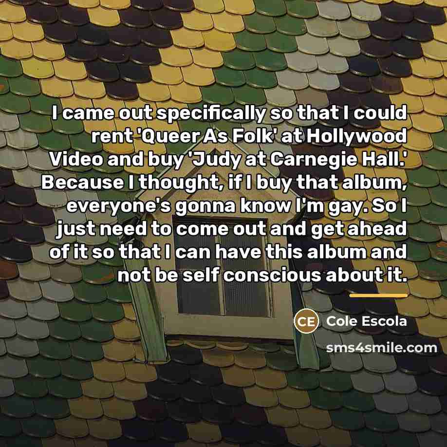 “I came out specifically so that I could rent 'Queer…” quote by Cole Escola